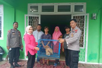 Warga Kampuang Tangah Agam serahkan satwa langka ke KSDA