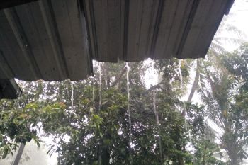 Hujan di NTB semakin merata