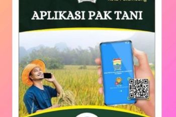 Palembang tingkatkan gebyar aplikasi "Pak Tani" secara nasional
