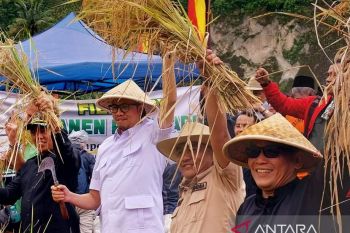 Wako Bukittinggi sebut upaya panen raya padi tekan inflasi