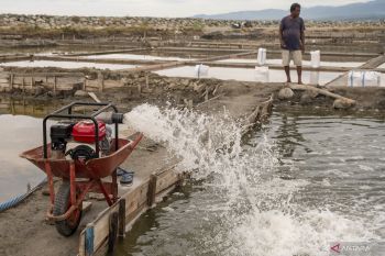 Potensi budidaya ikan air tawar di Abdya capai 1.746 hektare
