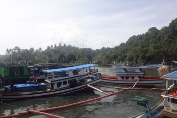 Cuaca ekstrem, ribuan nelayan di Pasbar tidak melaut