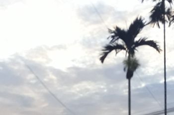 Diskop Supiori kembangkan produk sabun mandi buah pinang sirih