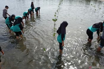 500 siswa di Parigi  dilibatkan penanaman bakau rangkaian Harkanas