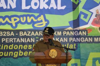 Gubernur Lampung berharap kemandirian pangan daerah segera terwujud
