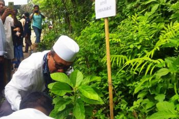 BPDAS rehabilitasi lahan di lingkar kawasan wisata Senggigi Lombok