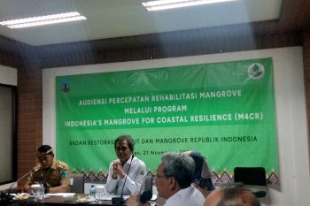 Gubernur: Rehabilitasi mangrove bakal dibantu Bank Dunia
