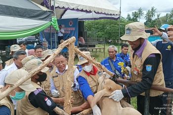 Kabupaten OKI merealisasikan vaksinasi PMK 64,04 persen