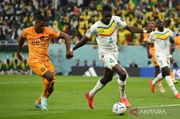 Statistik penting Qatar vs Senegal