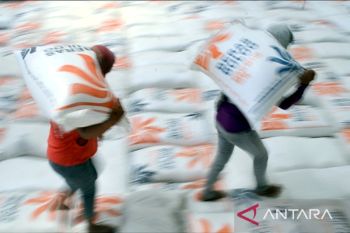Pasokan beras tinggal 594 ribu ton, Bulog ditugaskan impor