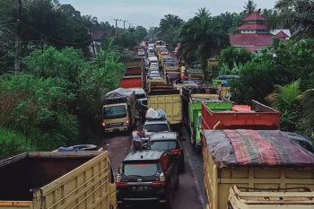 Polisi hentikan sementara operasional truk angkutan batu bara di Jambi
