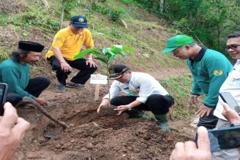 Kulon Progo kembangkan agribisnis kopi di Bukit Menoreh