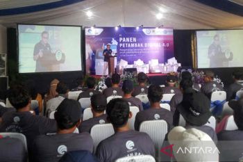 Kemenkominfo latih pemanfaatan teknologi sensor pengukur air bagi petambak udang di Cirebon