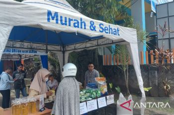 Perum Bulog Papua sebut stok beras aman hingga empat bulan ke depan