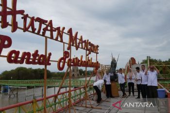 Kulon Progo diminta merevitalisasi wisata mangrove Pasir Kadilangu