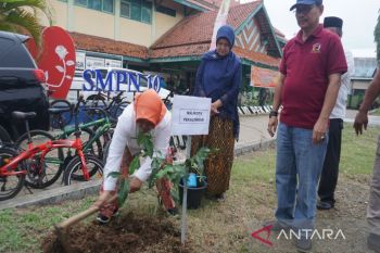 Cegah perubahan iklim, Pemkot Pekalongan gencar tanam pohon