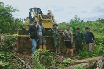 Berkolaborasi memberantas kejahatan kehutanan di Bengkulu