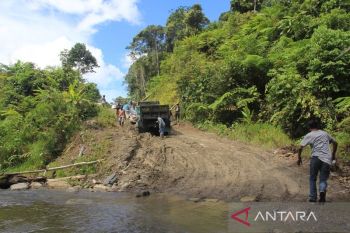 Provinsi Papua Pegunungan mendorong distribusi barang melalui Jalan Trans