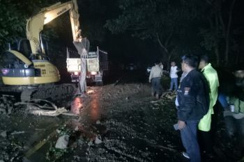 Hujan deras menyebabkan tebing longsor di Bantul
