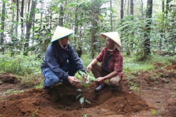Aksi Hijau Kampung Berseri Astra Suntenjaya terapkan pertanian ramah lingkungan