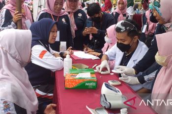 Ribuan bidan meriahkan HUT ke-71 IBI di Inhu
