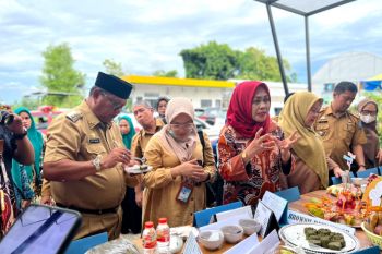 BKKBN Sulsel gencarkan sosialisasi Program DASHAT untuk cegah stunting