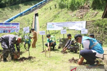 PLN menanam puluhan ribu pohon jaga kelestarian alam Suluttenggo