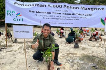 PLN Sulselrabar tanam 5.000 mangrove di Sulawesi Tenggara
