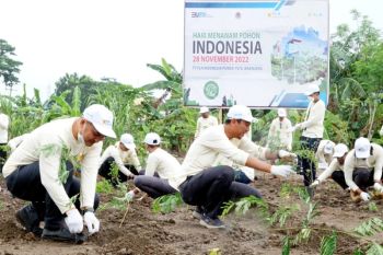 PLN NTB menanam 15.800 bibit pohon untuk hutan energi