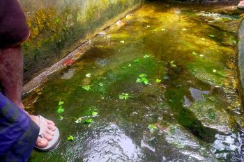 Heboh! temuan mayat mengapung di telaga Masbagik Lombok Timur