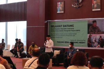 Wapres Ma'ruf Amin sebut perubahan otsus Papua merupakan suatu yang wajar
