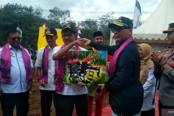 Pemerintah sudah kaji pemasaran sorgum hingga ke tingkat internasional