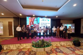 Pemprov Papua mendukung program regular PGBT UNICEF
