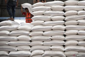 Pemerintah gelontorkan beras ke pasar untuk stabilkan harga jelang Natal
