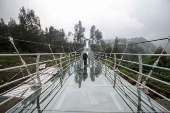 Jembatan Gantung Kaca di Bromo