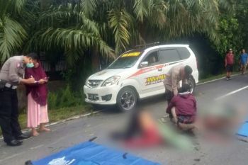 Dua pengendara di Palangka Raya tewas usai tabrak pohon tumbang