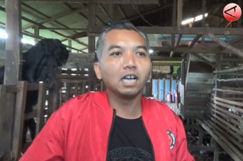 DPRD dukung pengembangan peternakan kambing di Seruyan