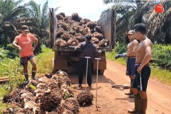 Gerakkan investor dalam membantu masyarakat Seruyan