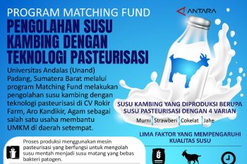 Program Matching Fund pengolahan susu kambing dengan teknologi pasteurisasi