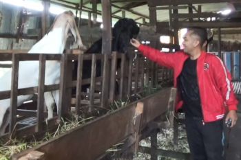 Ketua DPRD Seruyan: Maksimalkan edukasi perternakan