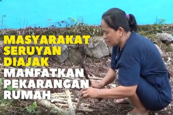 Masyarakat Seruyan diajak manfaatkan pekarangan rumah