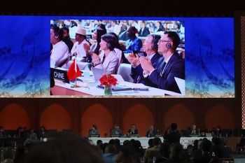 Pembuatan teh tradisional China masuk dalam warisan budaya