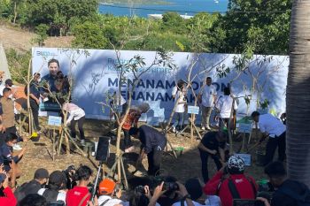 ASDP dukung bulan menanam pohon nasional