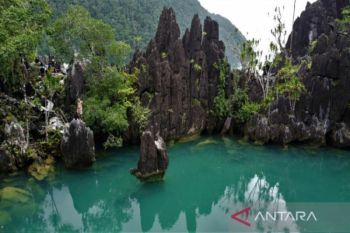 Dispar Sulawesi Tenggara promosi destinasi wisata Labengki lewat festival