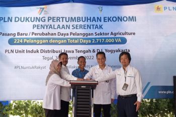 PLN nyalakan serentak 224 pelanggan di sektor agrikultur