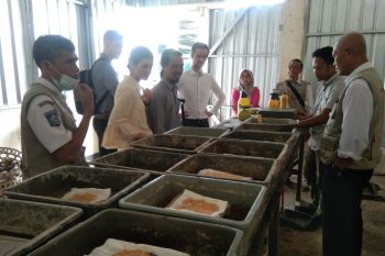 Pembangunan kandang budi daya "maggot" di Mataram mencapai 90 persen