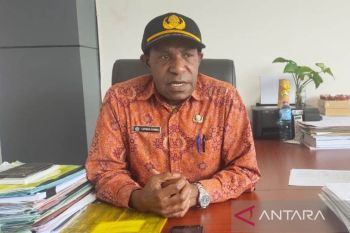 Pemkab Jayawijaya salurkan DD awal Desember