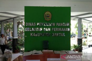 DKPP Bantul harap kenaikan harga dorong minat petani tanam kedelai