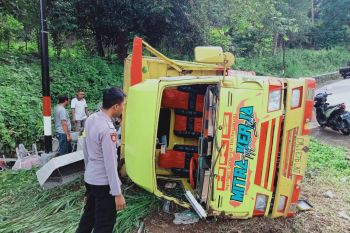 Rem blong, truk muatan 9 penumpang terguling di Sajang Lombok Timur