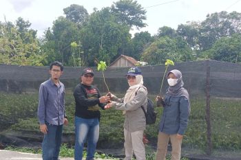 JBI salurkan 74 ribu bibit tanaman untuk dua desa di OKU
